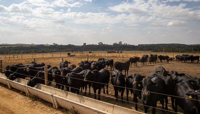© CNA/ Wenderson Araujo/Trilux