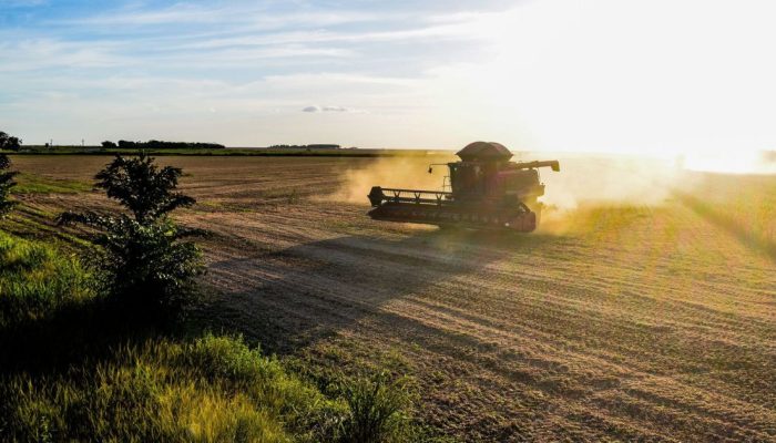 Baldan projeta crescimento em 2026  • Divulgação