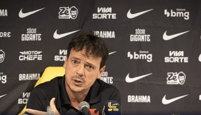 Fernando Diniz pediu reforços para o Vasco  • Matheus Lima / Vasco