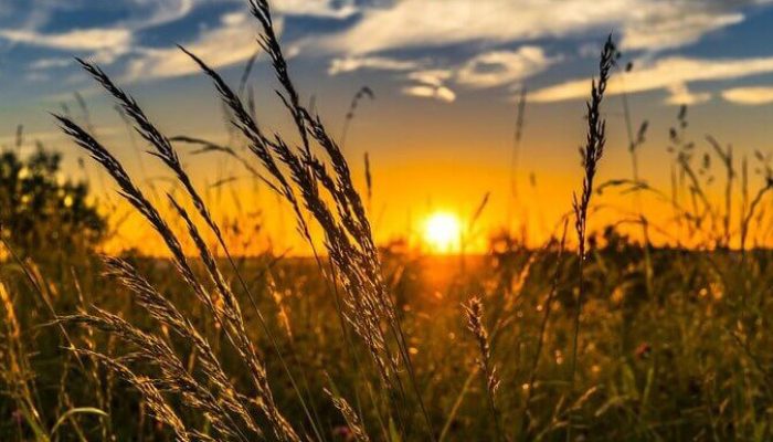 Monitor da ANA aponta avanço da seca fraca no Centro-Oeste do Paraná em fevereiroFoto: IAT