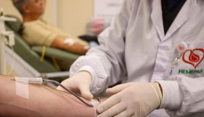 Dia Nacional do Doador de Sangue será celebrado com homenagem aos doadores mais assíduosFoto: G...