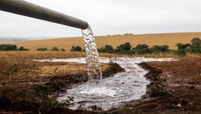 Dia Mundial da Água: IAT promove uma série de atividades para conscientizar a população.Foto:...