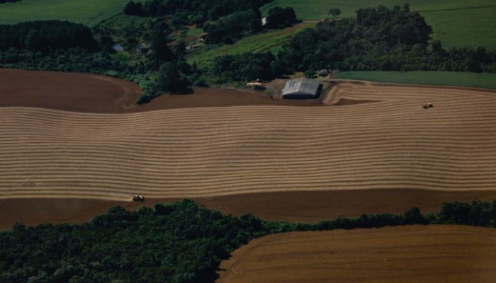 Safra de verão da soja caminha para o fim com 82% já colhida no ParanáFoto: Jonathan Campos/AEN