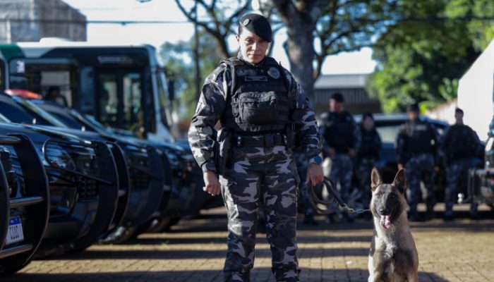 Operação Sinergia leva reforço operacional e ações estratégicas de segurança a Sarandi e r...