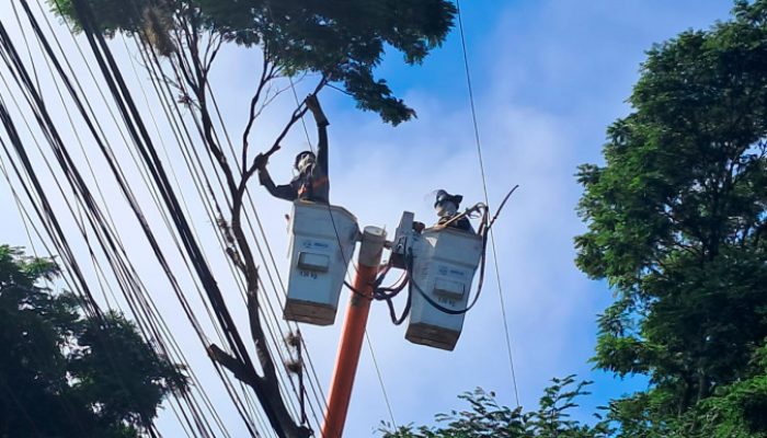 Copel realiza mutirão de poda preventiva em Cornélio Procópio e Rolândia neste domingo Foto: ...